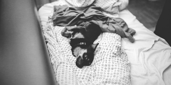 Perch� lasciare il letto disfatto al mattino pu� prevenire problemi ai polmoni?